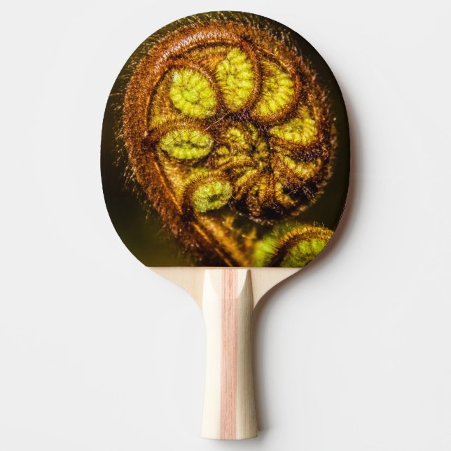 Young Fern Lövs Pingisracket (Framsidan)