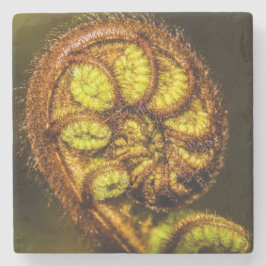 Young Fern Lövs Stenunderlägg