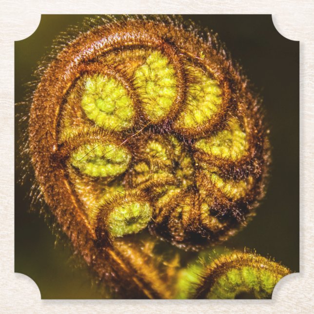 Young Fern Lövs Underlägg Papper (Framsida)