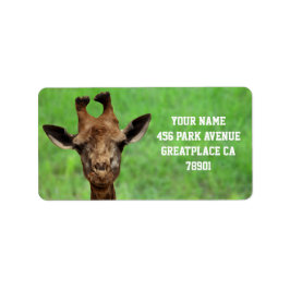Young Giraffe-adressetikett Adressetikett