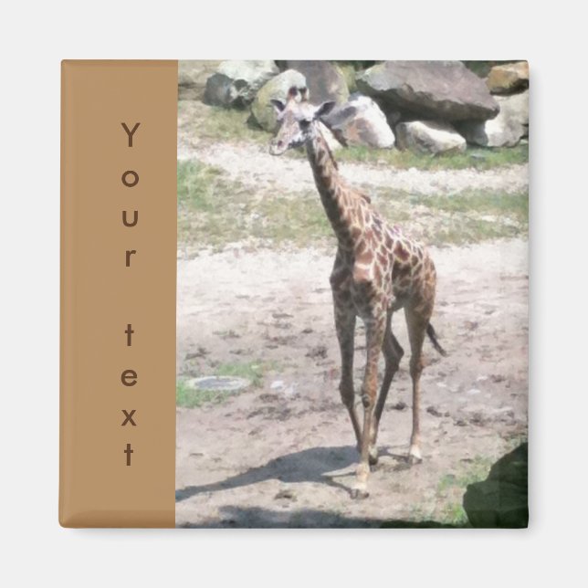 Young Giraffe går och kör dina textmagneter Magnet (Framsidan)