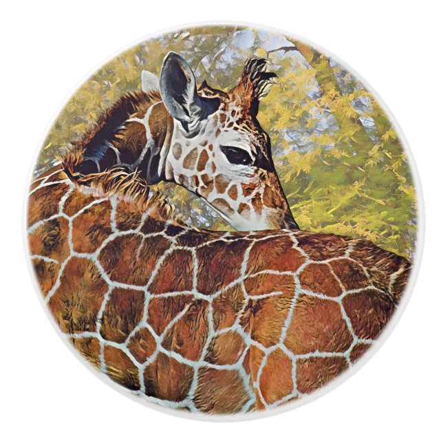 Young Giraffe Knopp (Framsidan)