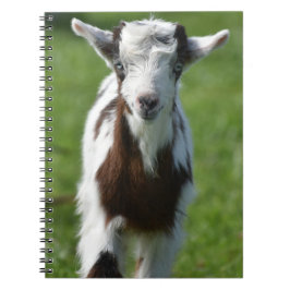 Young Goat-foto Anteckningsbok