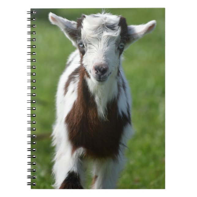 Young Goat-foto Anteckningsbok (Framsidan)