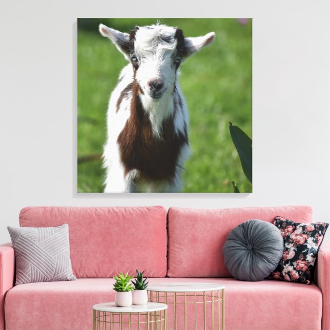 Young Goat-foto Canvastryck (Insitu (Vardagsrum))
