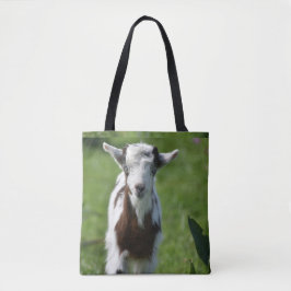 Young Goat-foto Tygkasse