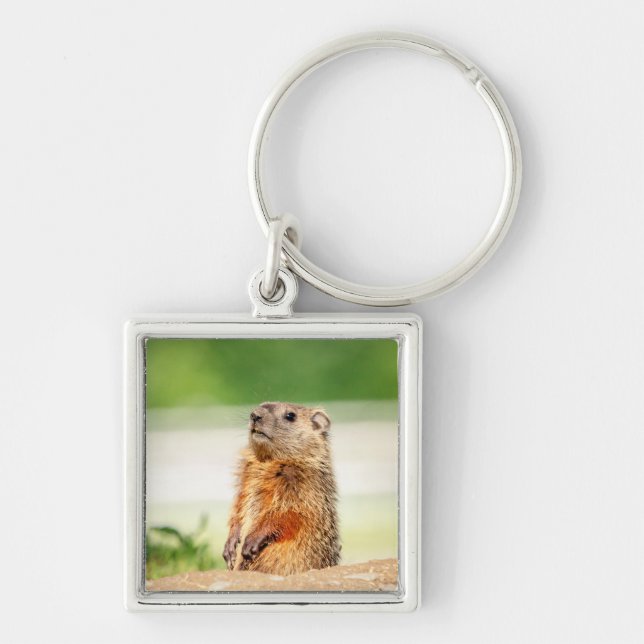 Young Groundhog Fyrkantig Silverfärgad Nyckelring (Framsidan)