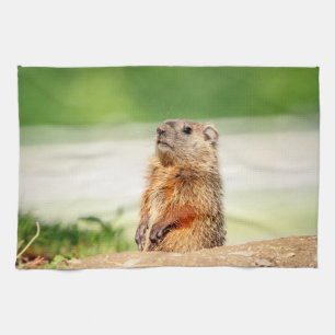 Young Groundhog Kökshandduk