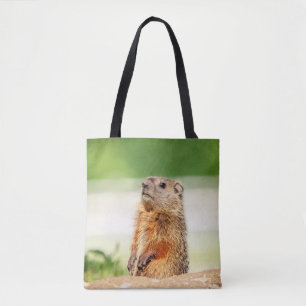Young Groundhog Tygkasse