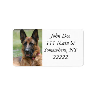 Young GSD Adressetikett