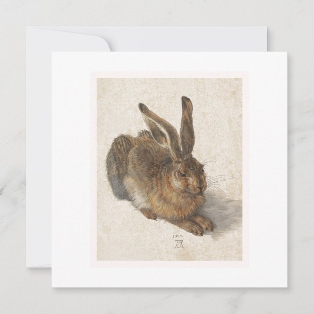 Young Hare (Framsida)