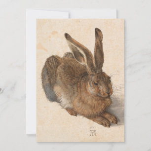 Young Hare Albrecht Dürer