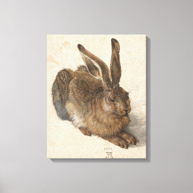Young Hare | Albrecht Dürer Canvastryck (Framsida)