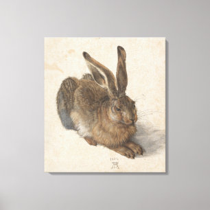 Young Hare Albrecht Durer Canvastryck