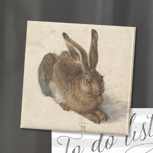 Young Hare Albrecht Dürer Magnet