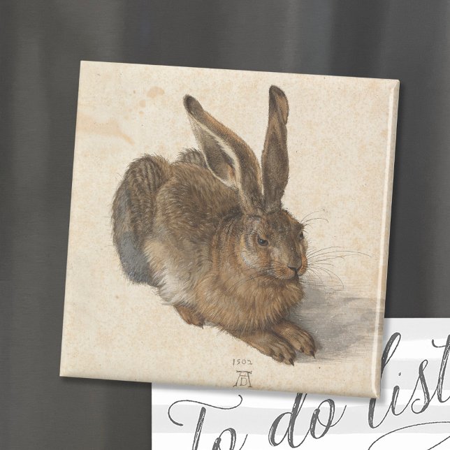 Young Hare | Albrecht Dürer Magnet (Skapare uppladdad)