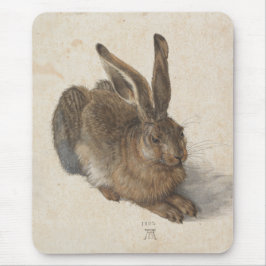 Young Hare Albrecht Durer Musmatta
