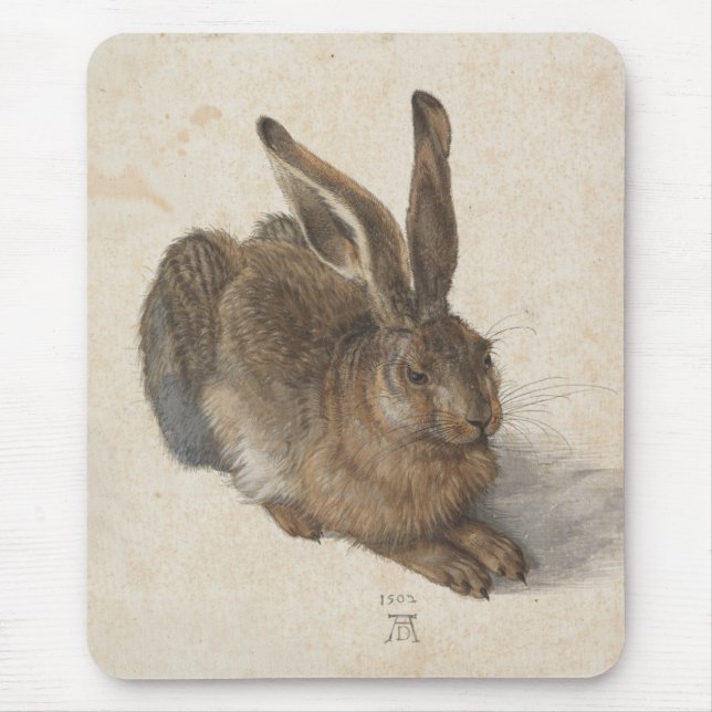 Young Hare Albrecht Durer Musmatta (Framsidan)