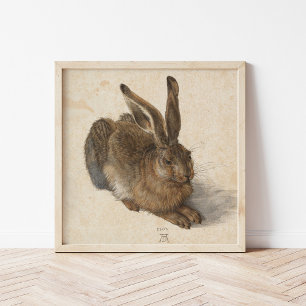 Young Hare Albrecht Dürer Poster