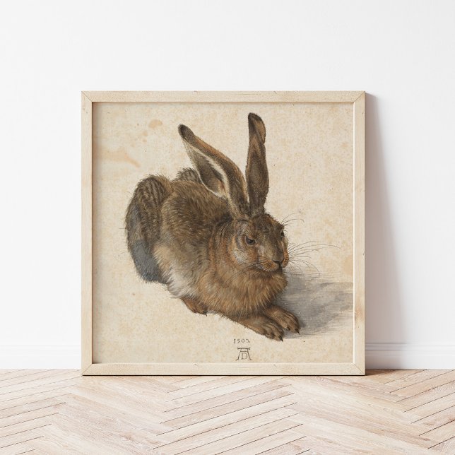 Young Hare | Albrecht Dürer Poster (Skapare uppladdad)