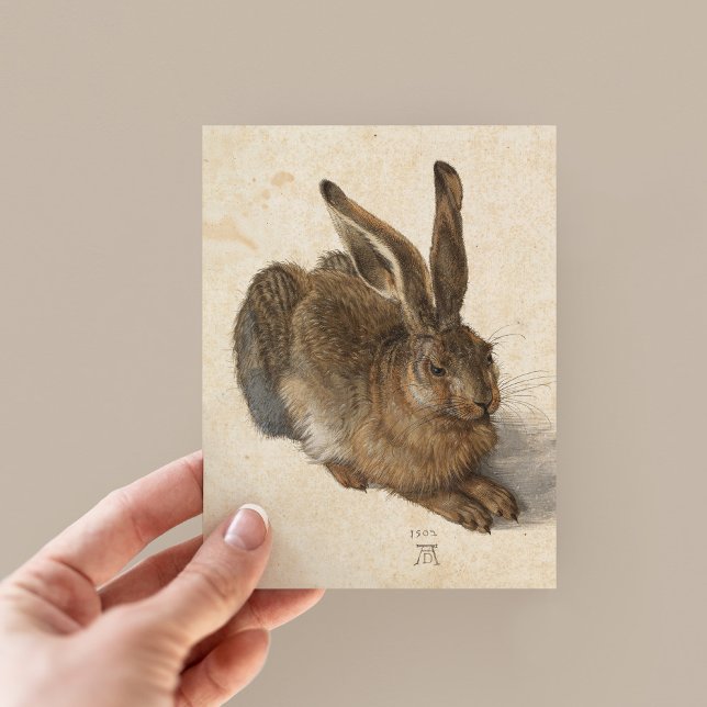 Young Hare | Albrecht Dürer Vykort (Skapare uppladdad)