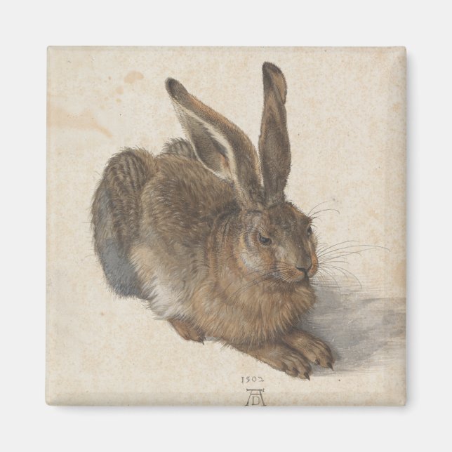Young Hare av Albrecht Durer Magnet (Framsidan)
