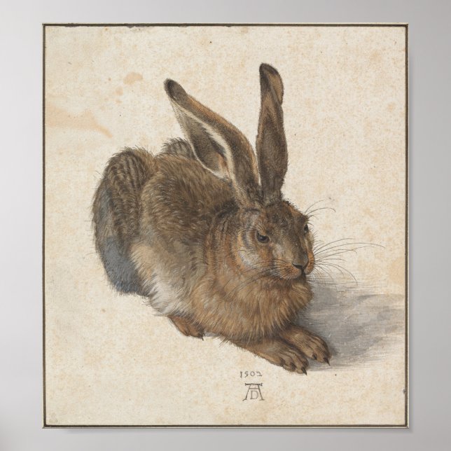 Young Hare av Albrecht Durer Poster (Framsidan)