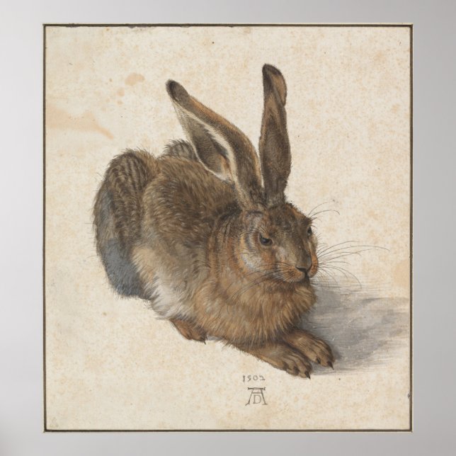 Young Hare av Albrecht Durer Poster (Framsidan)
