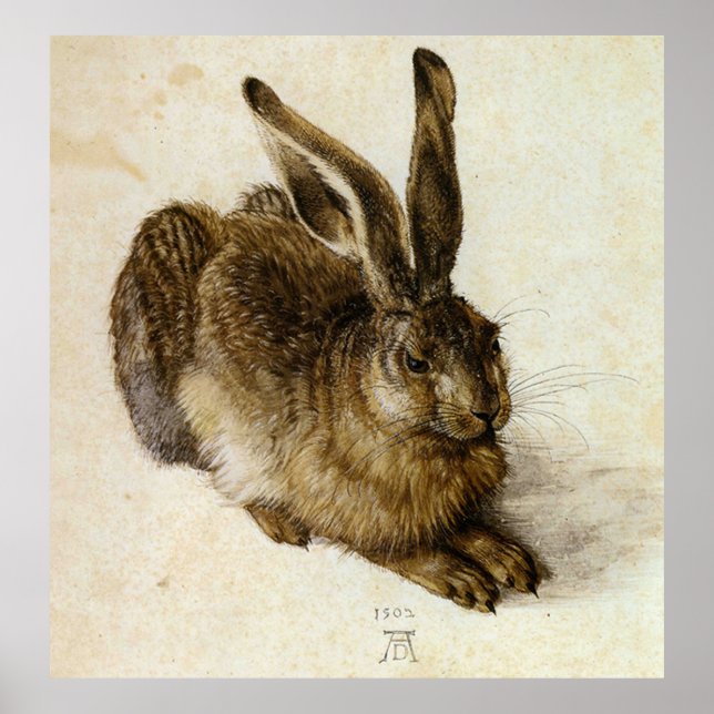 "Young Hare" av Albrecht Dürer Poster (Framsidan)