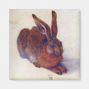 Young Hare av Albrecht Durer, Renaissance Fine Art Magnet