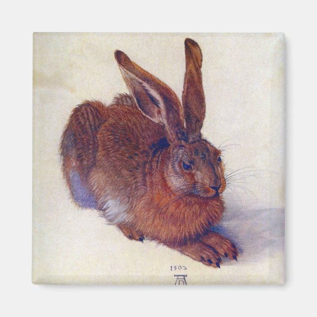 Young Hare av Albrecht Durer, Renaissance Fine Art Magnet (Framsidan)