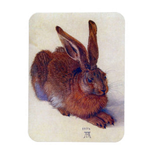 Young Hare av Albrecht Durer, Renaissance Fine Art Magnet