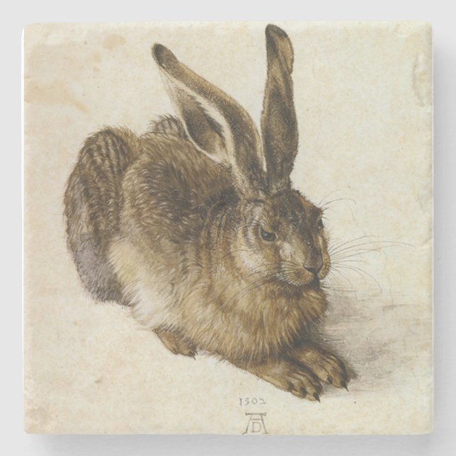 "Young Hare" av Albrecht Dürer Square Underlägg Sten (Framsidan)