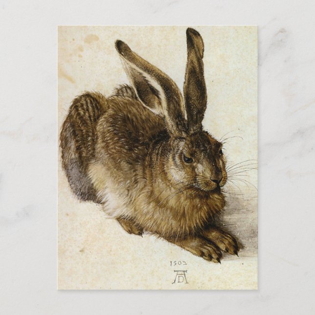 "Young Hare" av Albrecht Dürer Vykort (Framsida)