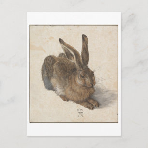 Young Hare av Albrecht Durer Vykort