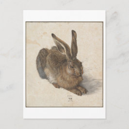 Young Hare av Albrecht Durer Vykort