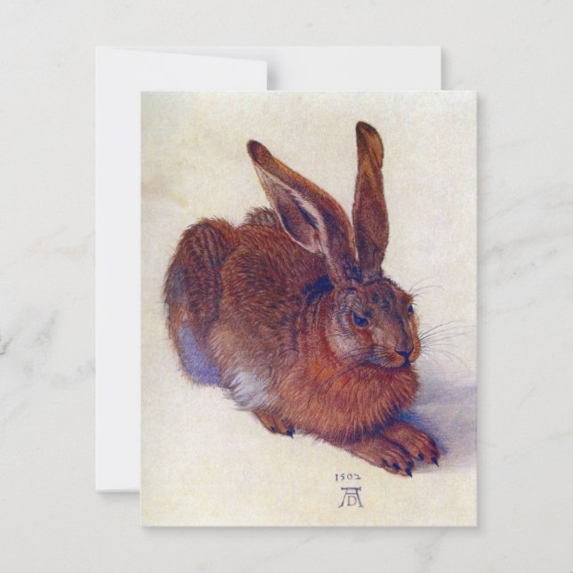 Young Hare by Albrecht Durer, Renaissance Fine Art (Framsida)