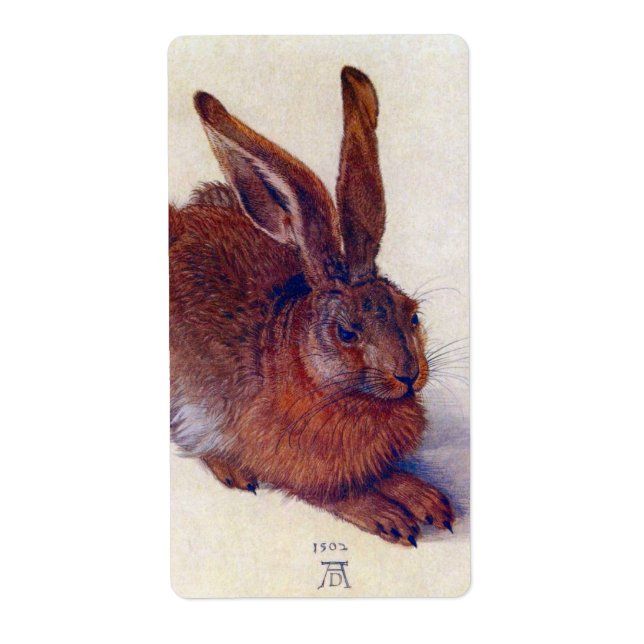 Young Hare by Albrecht Durer, Renaissance Fine Art Fraktsedel (Framsidan)