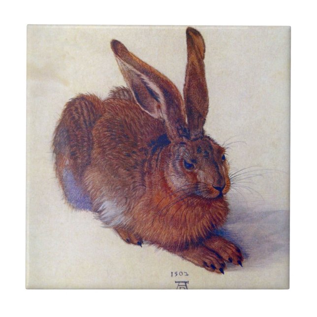 Young Hare by Albrecht Durer, Renaissance Fine Art Kakelplatta (Framsidan)