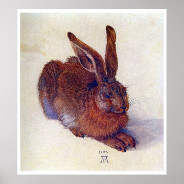 Young Hare by Albrecht Durer, Renaissance Fine Art Poster (Framsidan)