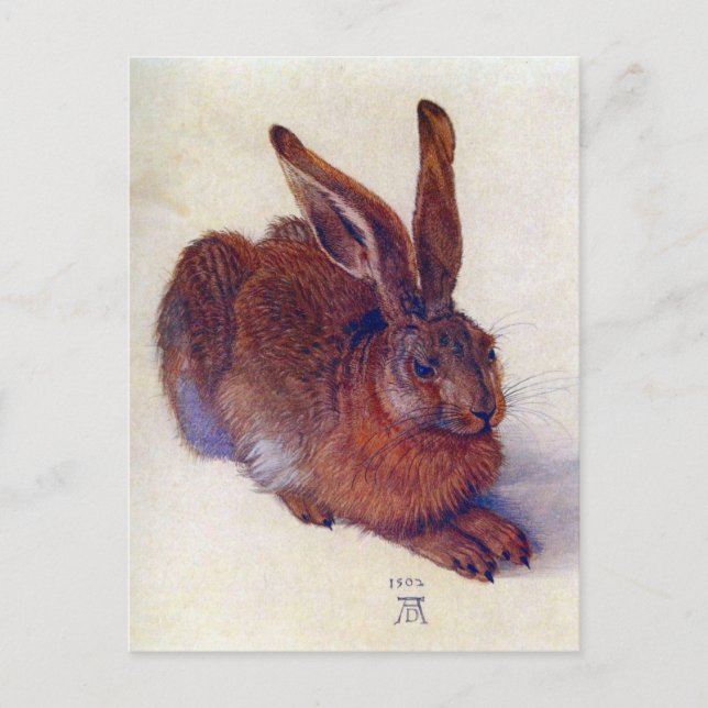 Young Hare by Albrecht Durer, Renaissance Fine Art Vykort (Framsida)