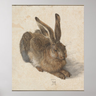 Young Hare (Durer 1502) Poster