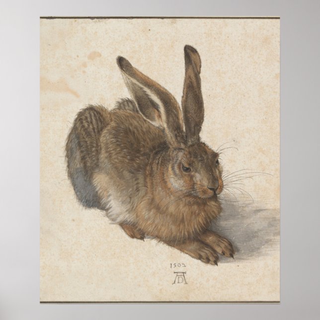 Young Hare (Durer 1502) Poster (Framsidan)