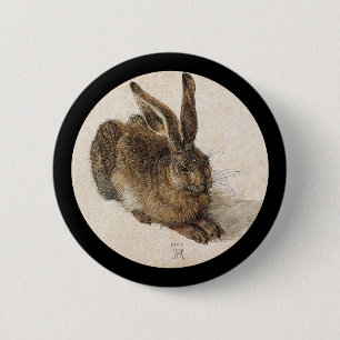 Young Hare Knapp