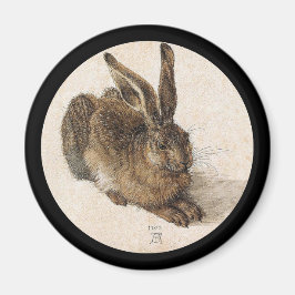 Young Hare Magnet