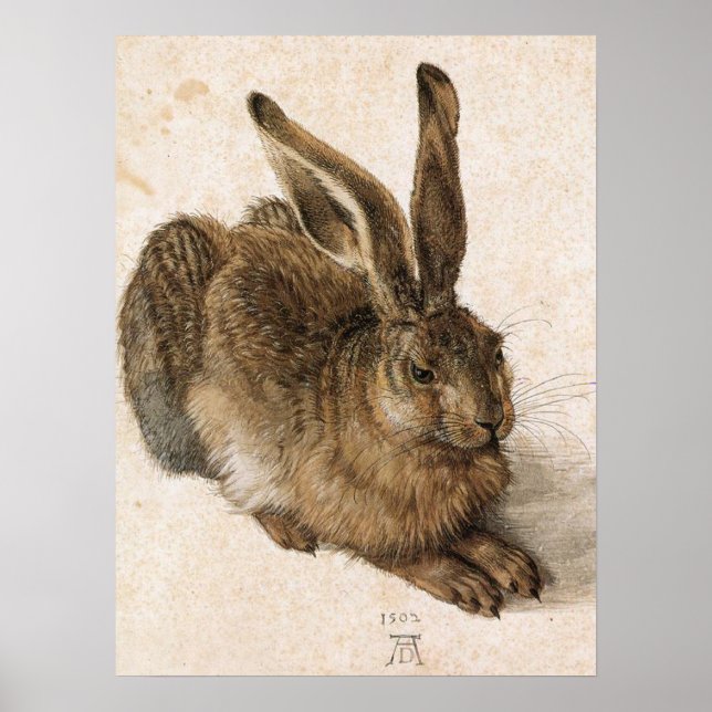 "Young Hare" Poster (Framsidan)
