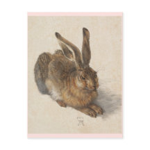 Young Hare