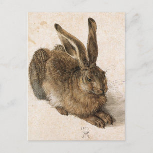 "Young Hare" Vykort