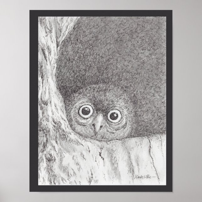 Young Hawk Owl Print Poster (Framsidan)