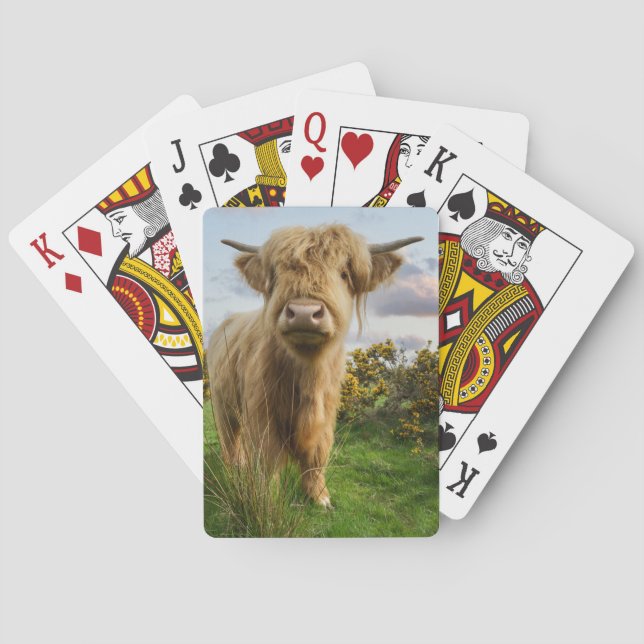 Young Highland Cow Casinokort (Baksidan)